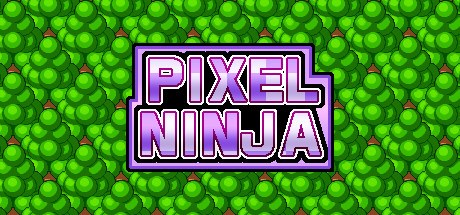 Pixel Ninja