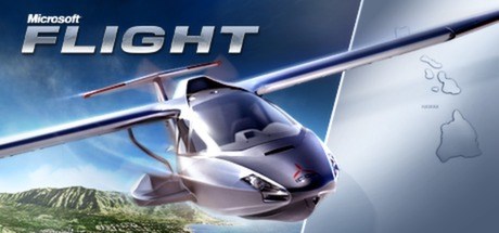 Microsoft Flight