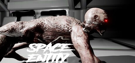 Space Entity Playtest