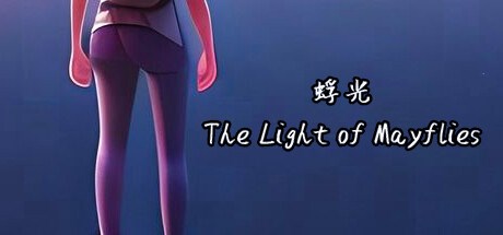 蜉光 Playtest