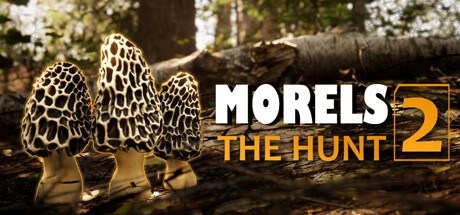 Morels: The Hunt 2