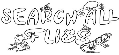 SEARCH ALL - FLIES