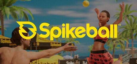 Spikeball Playtest