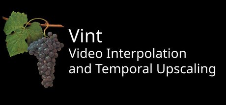 Vint: Video Temporal Upscaling and Interpolation