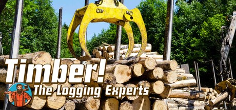 Timber The Logging Experts