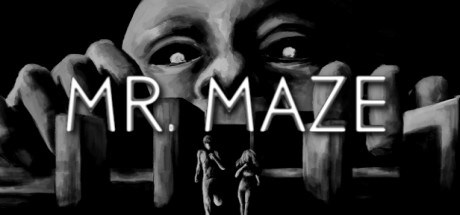 Mr Maze