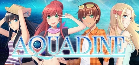 aquadine definition