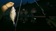 Ultimate Fishing Simulator 2 Screenshot 7