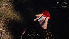 Mushroom Picker Simulator Screenshot 5