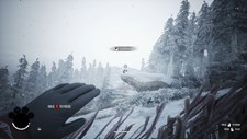Winter Survival Screenshot 3