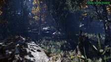 Duty in the Forest Screenshot 6