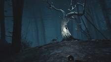 Blair Witch VR Screenshot 6