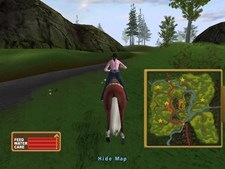 Let's Ride! Silver Buckle Stables Screenshot 3