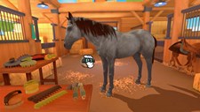 Equestrian Training Screenshot 1