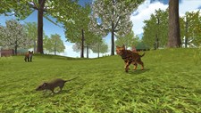 Cat Simulator : Animals on Farm Screenshot 4