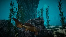 Prehistoric Marine Monsters Screenshot 4