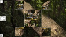 Puzzle Art: Snakes Screenshot 6