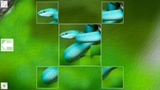 Puzzle Art: Snakes Screenshot 5