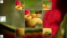 Puzzle Art: Snakes Screenshot 4