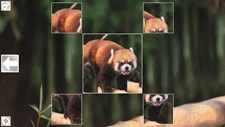 Puzzle Art: Predators Screenshot 6