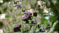 Puzzle Art: Primates Screenshot 6