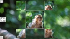 Puzzle Art: Primates Screenshot 7