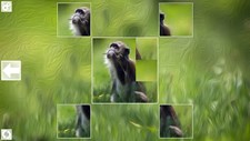 Puzzle Art: Primates Screenshot 3