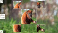 Puzzle Art: Primates Screenshot 5