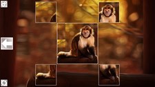 Puzzle Art: Primates Screenshot 4