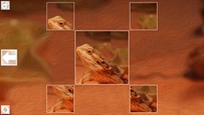 Puzzle Art: Reptiles Screenshot 8