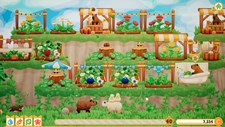 Capybara Spa Screenshot 2