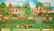 Capybara Spa Screenshot 6