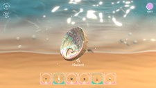 Seashell Screenshot 1