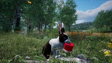 Rabbit Meadow Screenshot 8
