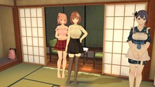 Koi-Koi VR: Love Blossoms Screenshot 4