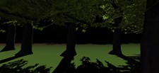 Midnight at Forest Screenshot 1