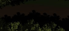Midnight at Forest Screenshot 5