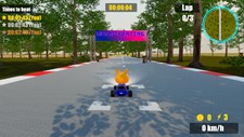 Retro Karting 22 Screenshot 6