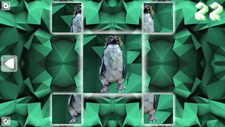 Poly Puzzle: Birds Screenshot 7