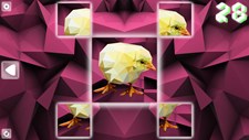 Poly Puzzle: Birds Screenshot 8