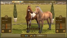 Jumping Horses Champions Screenshot 1