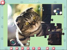 1001 Jigsaw. Cute Cats Screenshot 3