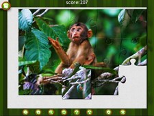 1001 Jigsaw. Wild Animals Screenshot 5