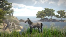 Horse and Go Seek Screenshot 1