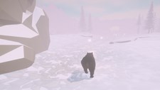 Cold Land Screenshot 5