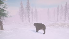 Cold Land Screenshot 8