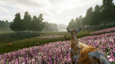 Deer Journey Screenshot 5