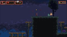 Red Hood Adventure Screenshot 6