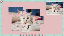 1001 Jigsaw. Cute Cats 2 Screenshot 3