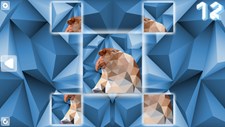 Poly Puzzle: Primates Screenshot 7